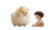 Playful Companions Vinyl Car Decal Sticker – Waterproof & UV-Resistant 5.4