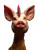 Pig-Chicken Hybrid Vinyl Car Decal Sticker – Waterproof & UV-Resistant 8.213333333333333"
