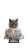 Architect Cat Vinyl Car Decal Sticker – Waterproof & UV-Resistant 4.8533333333333335"