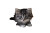 Curious Kitten Peeking V2 Vinyl Car Decal Sticker – Waterproof & UV-Resistant 5.97333333333333