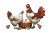 Fantasy Fluffy Hen Vinyl Car Decal Sticker – Waterproof & UV-Resistant 2.986666666666667"