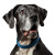 Older Black Great Dane Vinyl Car Decal Sticker – Waterproof & UV-Resistant 3.4133333333333336"
