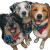 Celebrating Dogs Vinyl Car Decal Sticker – Waterproof & UV-Resistant 3.4133333333333336"