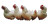 Chickens For Sale Vinyl Car Decal Sticker – Waterproof & UV-Resistant 2.72"