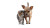 Chihuahua And Kitten Vinyl Car Decal Sticker – Waterproof & UV-Resistant 5.4