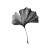 Gingko Leaf Drawing Vinyl Car Decal Sticker – Waterproof & UV-Resistant 3.4133333333333336"