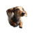 Space Dachshund Vinyl Car Decal Sticker – Waterproof & UV-Resistant 3.4133333333333336"