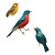 Summer Birds Vinyl Car Decal Sticker – Waterproof & UV-Resistant 3.4133333333333336"