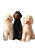 Three Labradoodles Vinyl Car Decal Sticker – Waterproof & UV-Resistant 8.746666666666666"