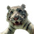 Underwater Tiger Selfie Vinyl Car Decal Sticker – Waterproof & UV-Resistant 3.4133333333333336"