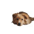 Sad Fluffy Puppy Vinyl Car Decal Sticker – Waterproof & UV-Resistant 6.826666666666667"