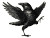Disco Dancing Raven Vinyl Car Decal Sticker – Waterproof & UV-Resistant 6.1866666666666665"