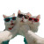 Stylish Cats Selfie Vinyl Car Decal Sticker – Waterproof & UV-Resistant 6.826666666666667"
