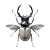 Stag Beetle V2 Vinyl Car Decal Sticker – Waterproof & UV-Resistant 6.826666666666667"
