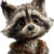 Cartoonish 3D Raccoon Vinyl Car Decal Sticker – Waterproof & UV-Resistant 6.826666666666667"