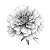Marigold Illustration Vinyl Car Decal Sticker – Waterproof & UV-Resistant 3.4133333333333336"