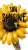 Sunflower Sunshine V2 Vinyl Car Decal Sticker – Waterproof & UV-Resistant 9.706666666666667"