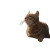 Fishing Cat V4 Vinyl Car Decal Sticker – Waterproof & UV-Resistant 3.4133333333333336"