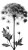 Dill Botanical Sketch Vinyl Car Decal Sticker – Waterproof & UV-Resistant 4.8533333333333335"