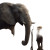 Elephant Speaking Vinyl Car Decal Sticker – Waterproof & UV-Resistant 6.826666666666667"
