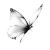 Delicate Butterfly V2 Vinyl Car Decal Sticker – Waterproof & UV-Resistant 3.4133333333333336"
