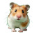 Hamster On Green Vinyl Car Decal Sticker – Waterproof & UV-Resistant 3.4133333333333336"