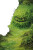 Ooze Monster Vinyl Car Decal Sticker – Waterproof & UV-Resistant 4.4