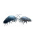 Battling Isopod Vinyl Car Decal Sticker – Waterproof & UV-Resistant 6.826666666666667"