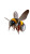 Slow Motion Bumblebee Vinyl Car Decal Sticker – Waterproof & UV-Resistant 9.706666666666667"