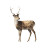 Graceful Winter Reindeer Vinyl Car Decal Sticker – Waterproof & UV-Resistant 3.4133333333333336"
