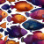 Colorful Fish Pattern V2 Vinyl Car Decal Sticker – Waterproof & UV-Resistant 6.826666666666667"