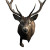 Running Stag Vinyl Car Decal Sticker – Waterproof & UV-Resistant 3.4133333333333336"