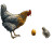 Chicken Laying Egg Vinyl Car Decal Sticker – Waterproof & UV-Resistant 3.4133333333333336"
