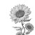 Sunflower Sketch Vinyl Car Decal Sticker – Waterproof & UV-Resistant 6.826666666666667"