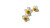 White Daffodils Vinyl Car Decal Sticker – Waterproof & UV-Resistant 2.72"