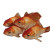 Golden Goldfish Vinyl Car Decal Sticker – Waterproof & UV-Resistant 3.4133333333333336" Golden Goldfish Vinyl Car Decal Sticker – Waterproof & UV-Resistant 3.4133333333333336"