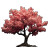 Cherry Blossom Tree V15 Vinyl Car Decal Sticker – Waterproof & UV-Resistant 6.826666666666667"