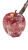 Pink Transparent Apple V2 Vinyl Car Decal Sticker – Waterproof & UV-Resistant 9.706666666666667"