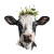 Cute Cow Head Vinyl Car Decal Sticker – Waterproof & UV-Resistant 6.826666666666667"