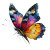 Colorful Butterfly Design Vinyl Car Decal Sticker – Waterproof & UV-Resistant 3.4133333333333336"