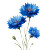 Cornflowers Illustration Vinyl Car Decal Sticker – Waterproof & UV-Resistant 3.4133333333333336"