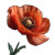 Poppy Flower V3 Vinyl Car Decal Sticker – Waterproof & UV-Resistant 6.826666666666667"
