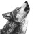 Howling Coyote V2 Vinyl Car Decal Sticker – Waterproof & UV-Resistant 6.826666666666667"