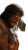 Passion Of Jesus Vinyl Car Decal Sticker – Waterproof & UV-Resistant 9.706666666666667"