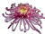 Dragon Claw Chrysanthemum Vinyl Car Decal Sticker – Waterproof & UV-Resistant 3.2"