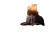 Burntout Office Cat Vinyl Car Decal Sticker – Waterproof & UV-Resistant 2.986666666666667"