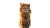 Majestic Cliff Cat Vinyl Car Decal Sticker – Waterproof & UV-Resistant 2.72"