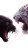 Panther Vs Tiger Vinyl Car Decal Sticker – Waterproof & UV-Resistant 9.706666666666667"