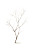 Leafless Tree Branch Vinyl Car Decal Sticker – Waterproof & UV-Resistant 8.96"