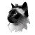 Applehead Siamese Cat Vinyl Car Decal Sticker – Waterproof & UV-Resistant 3.4133333333333336"
